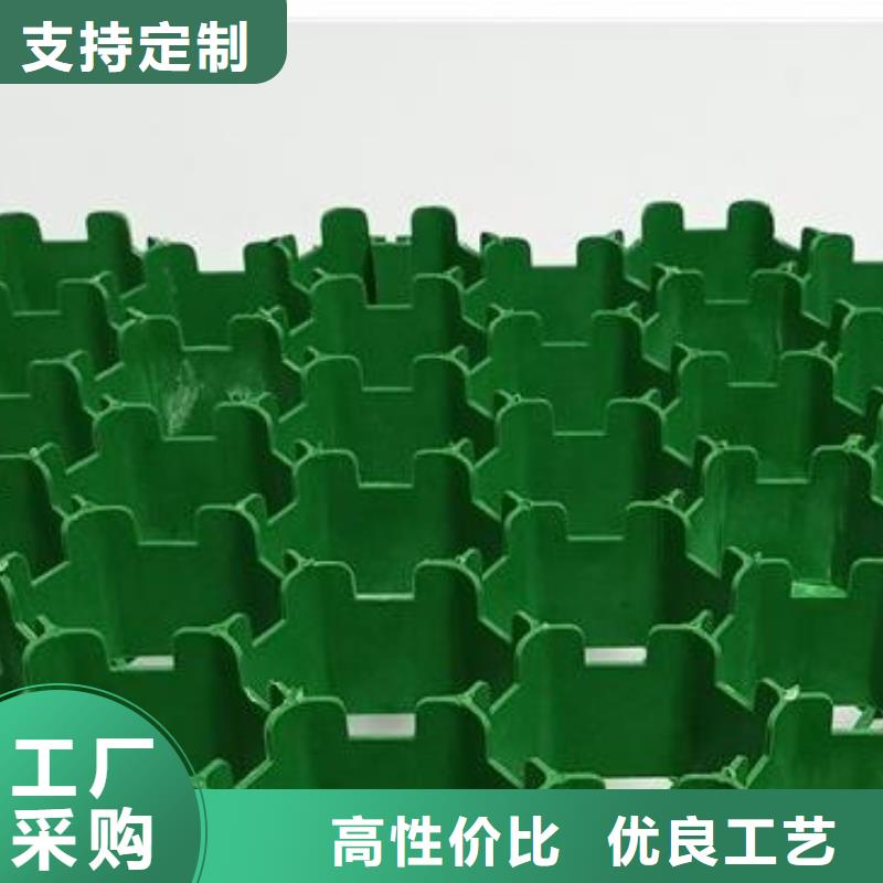植草格防护虹吸排水收集系统品质优选