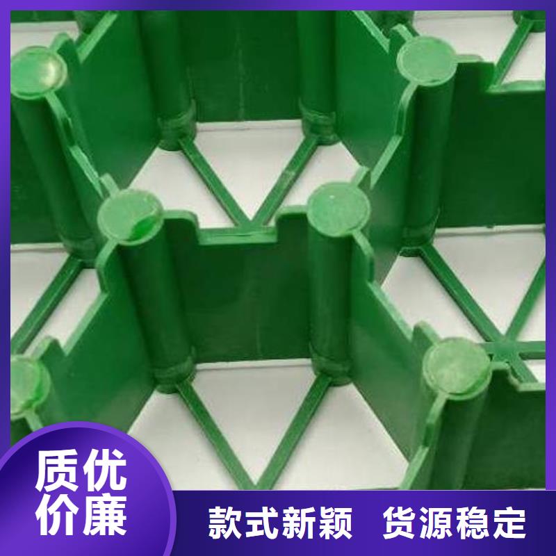 高质量高信誉 【植草格】,防护虹吸排水收集系统工厂现货供应