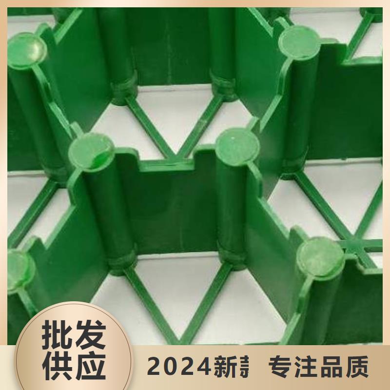 植草格,植草格实拍品质保障