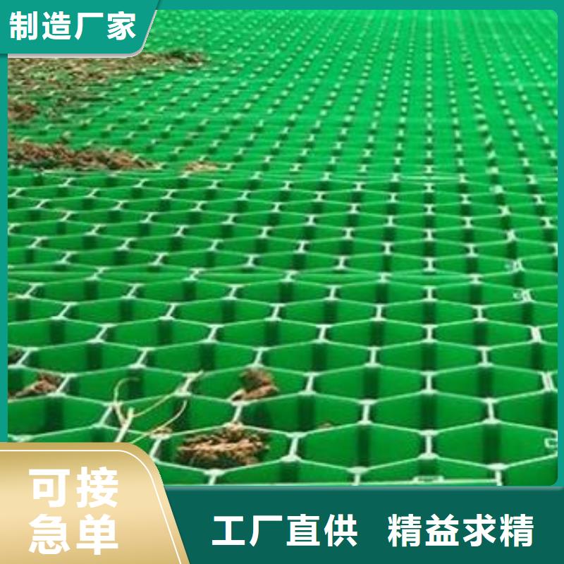 专注细节使用放心 【 植草格-排水板品质保障价格合理】