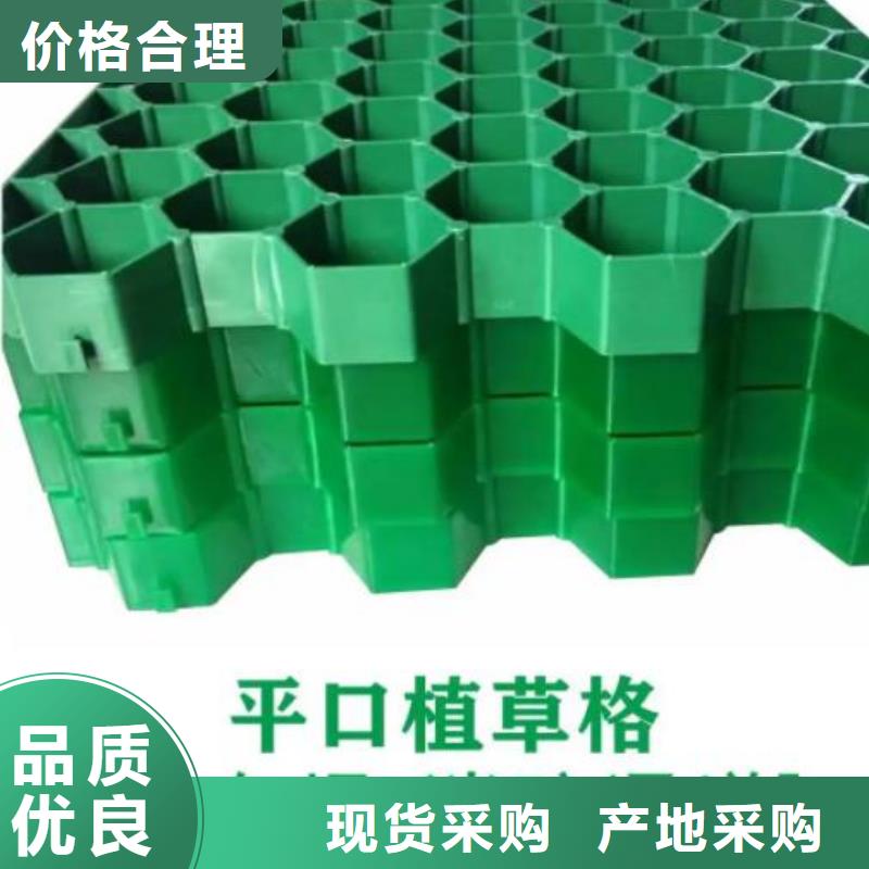 高质量高信誉 【植草格】,防护虹吸排水收集系统工厂现货供应