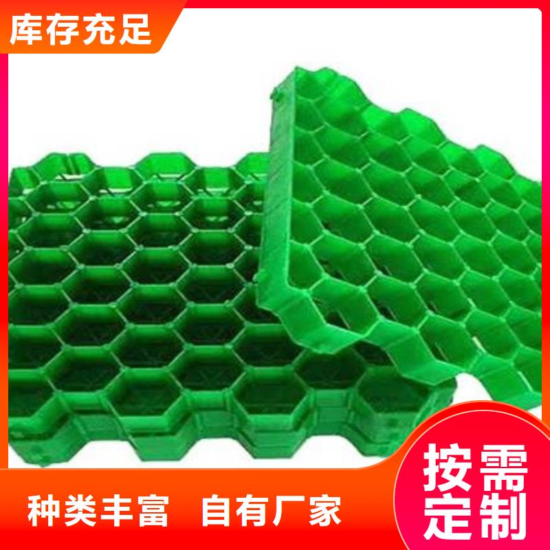 植草格水泥化粪池厂家技术完善