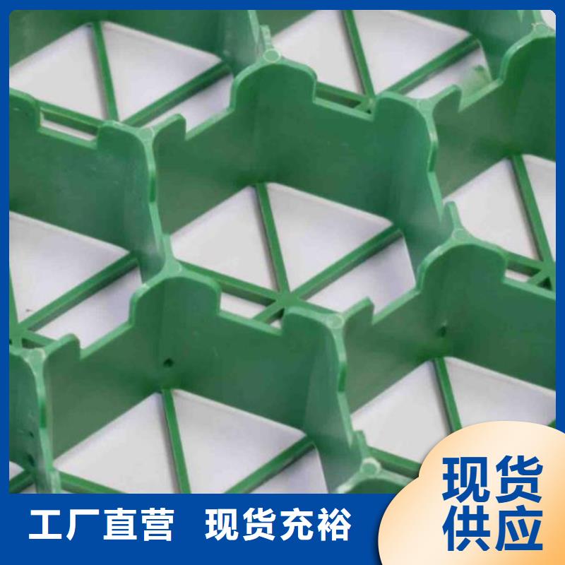 专注细节使用放心 【 植草格-排水板品质保障价格合理】