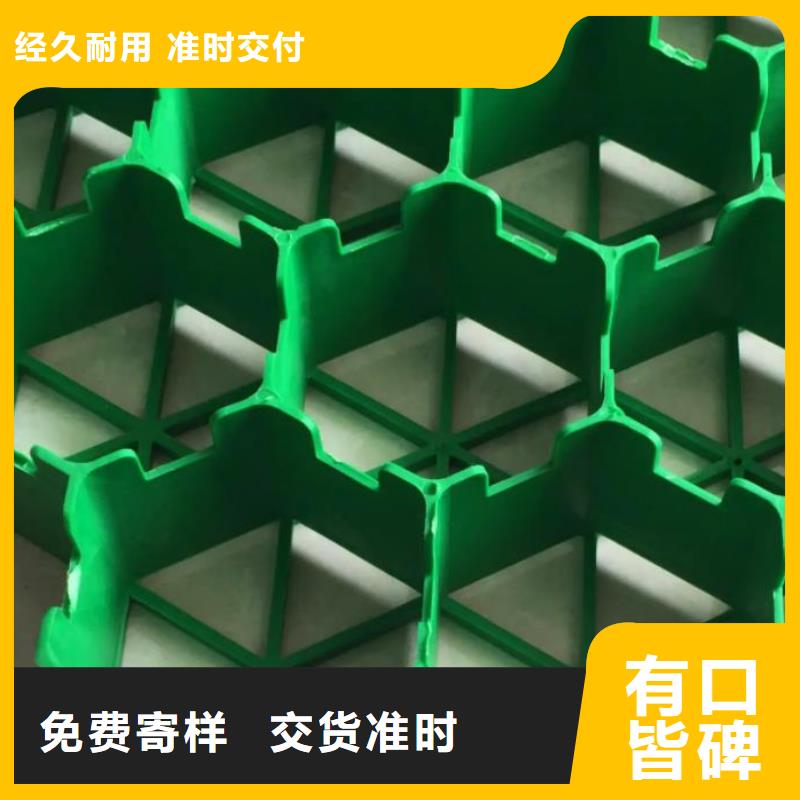 高质量高信誉 【植草格】,防护虹吸排水收集系统工厂现货供应