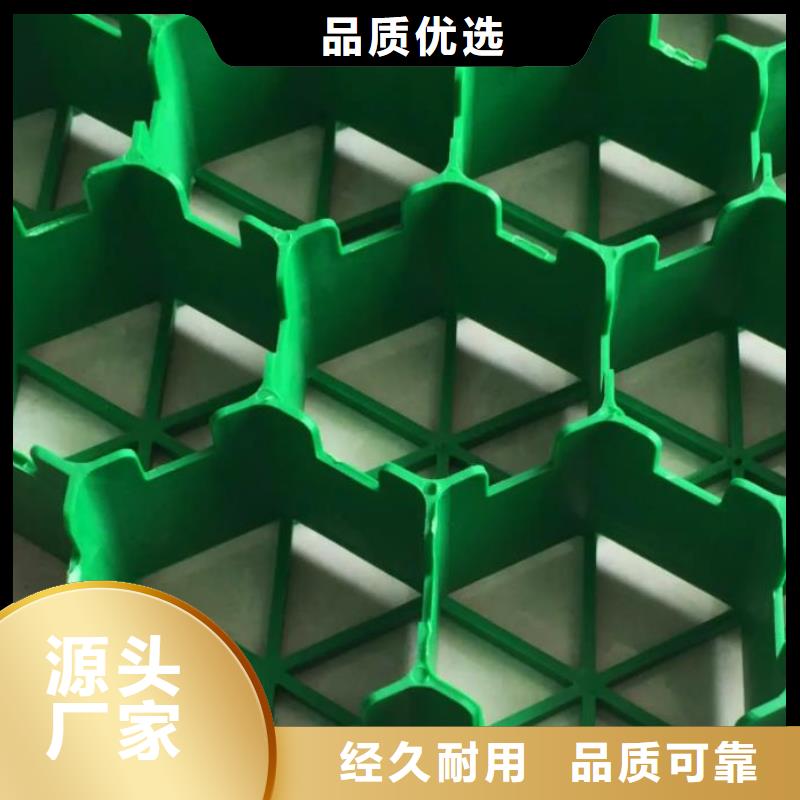 【植草格】_植草格应用范围广泛