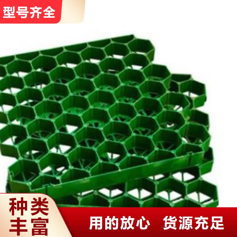 植草格工厂批发