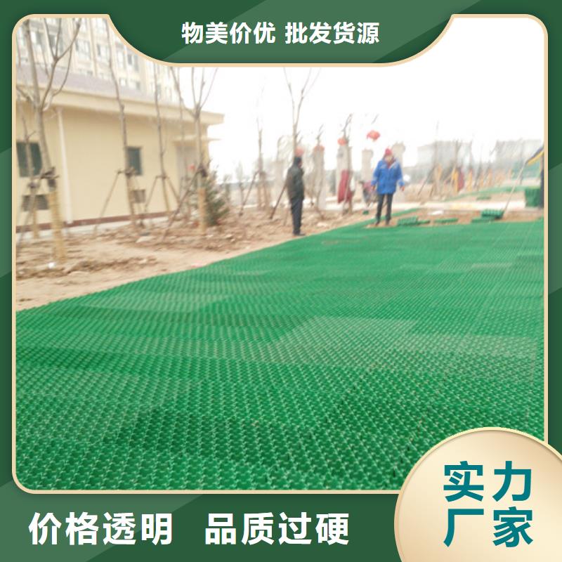 植草格【防护虹吸排水收集系统】工厂直销