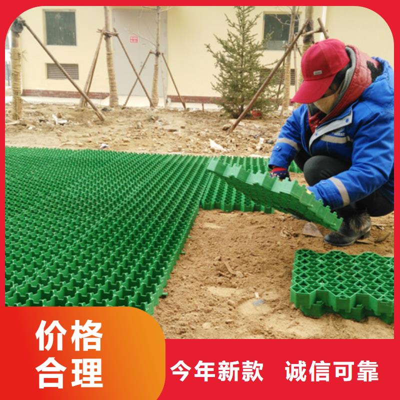 朋联【植草格】,防护虹吸排水收集系统工厂现货供应