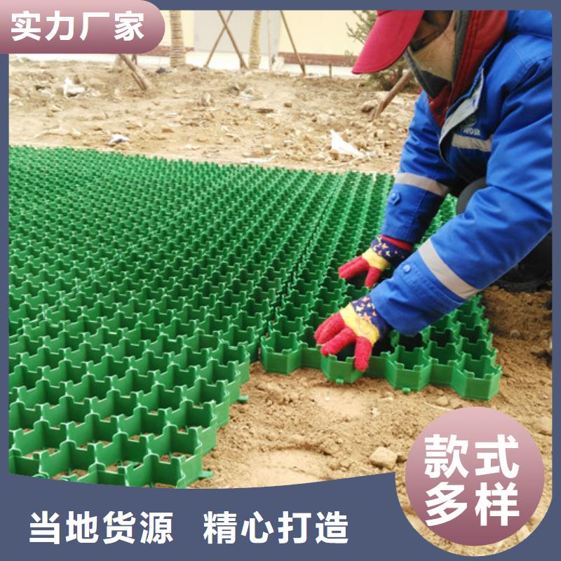 朋联【植草格】,防护虹吸排水收集系统工厂现货供应