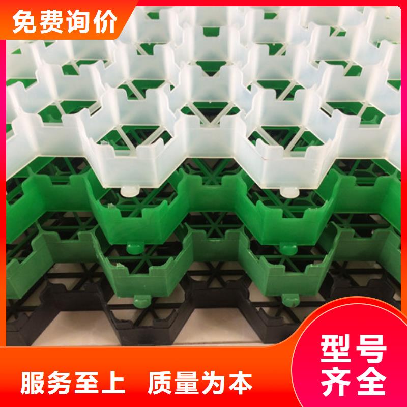 【植草格工厂现货供应】