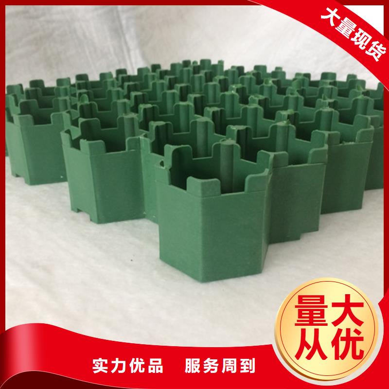 朋联【植草格】,防护虹吸排水收集系统工厂现货供应