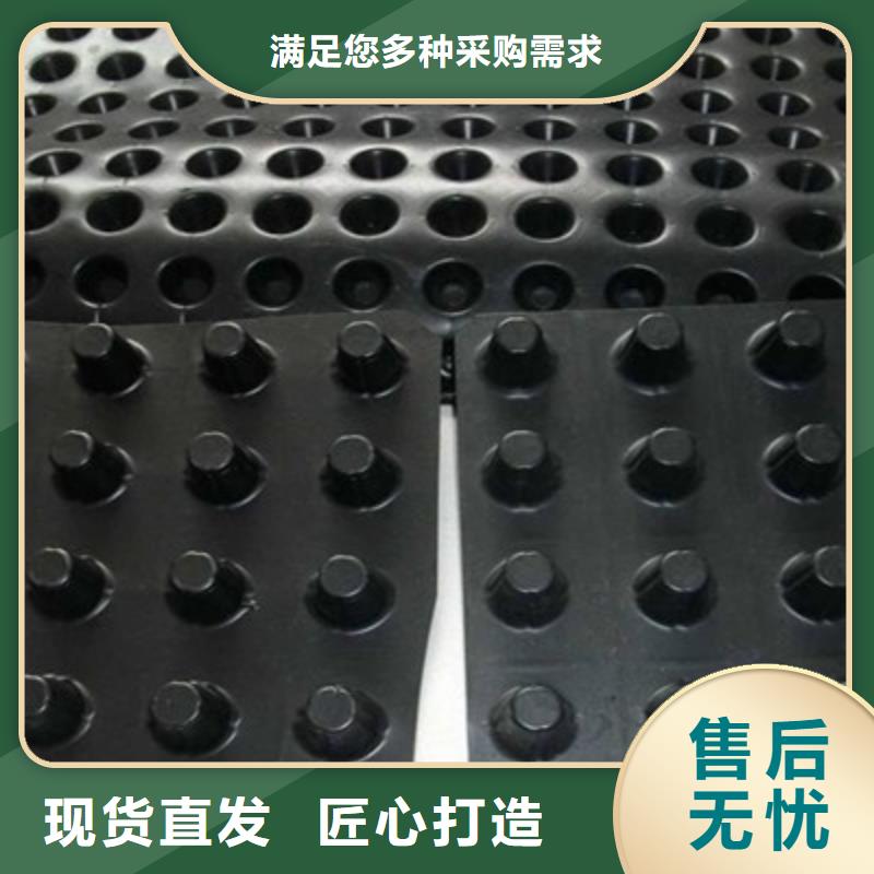 选择我们没错 【 塑料排水板排水板厂家现货供应】
