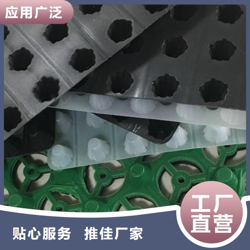 当地厂家值得信赖【 塑料排水板- 植草格品质商家】