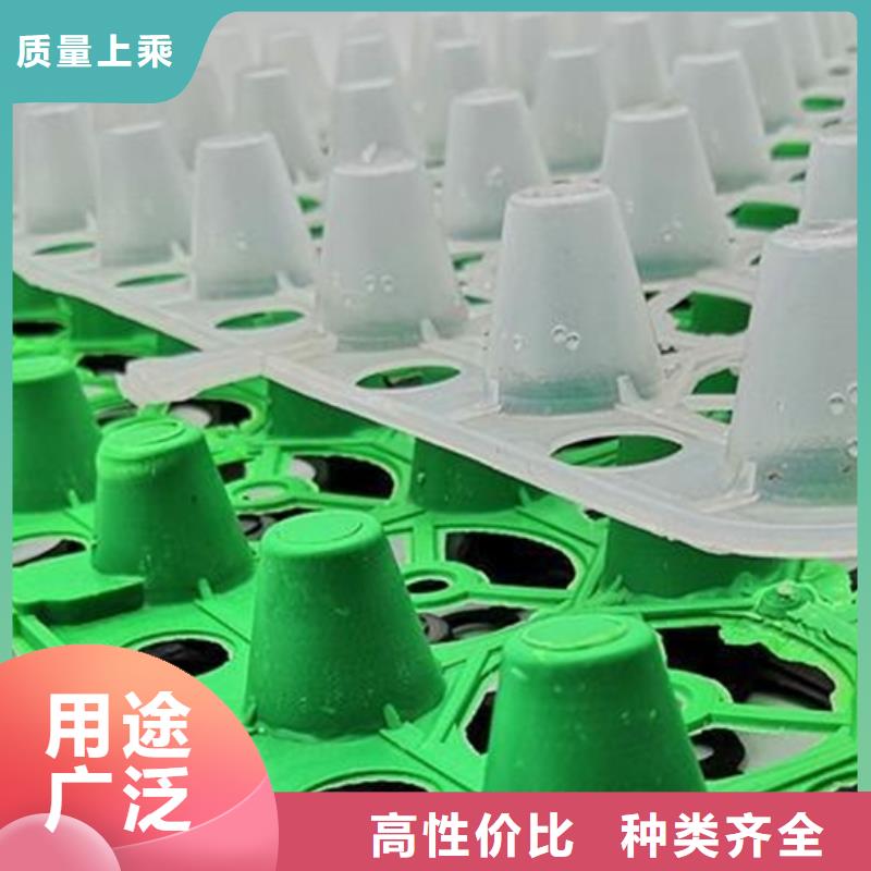 【 塑料排水板- 植草格品质商家】朋联