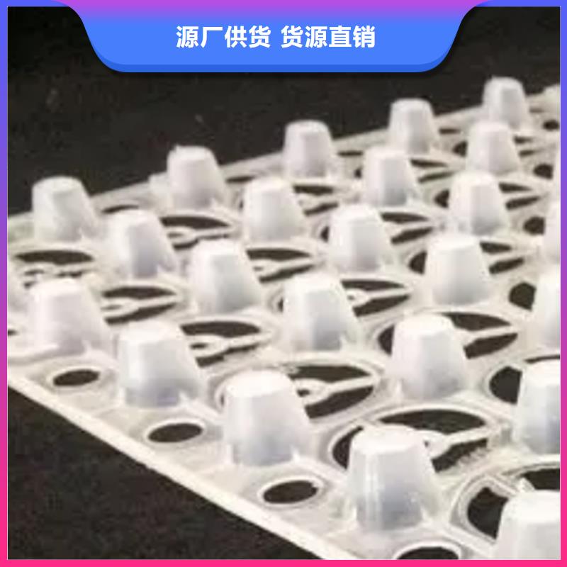 选择我们没错 【 塑料排水板排水板厂家现货供应】