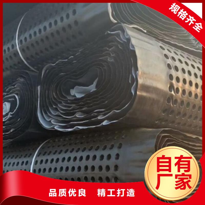【 塑料排水板排水板厂家现货供应】-朋联工程材料(鄂尔多斯市分公司)