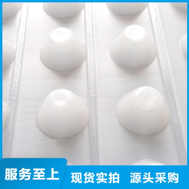 【 塑料排水板车库虹吸排水系统品质保障价格合理】|瑞昌|武宁|新余|南昌|上饶|景德镇|抚州|赣州|宜春生产厂家