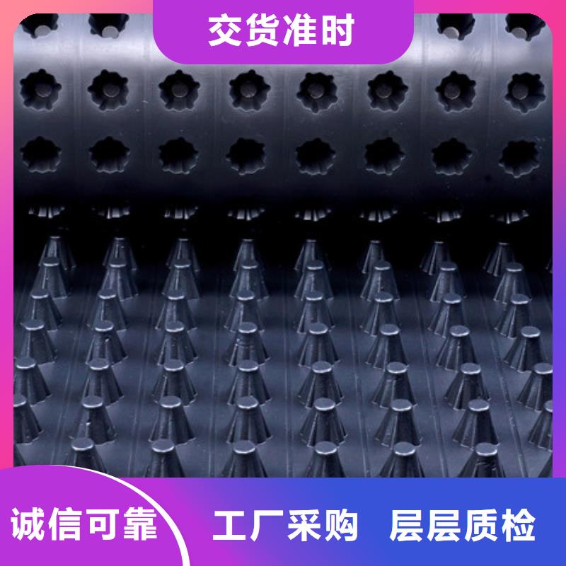 选择我们没错 【 塑料排水板排水板厂家现货供应】