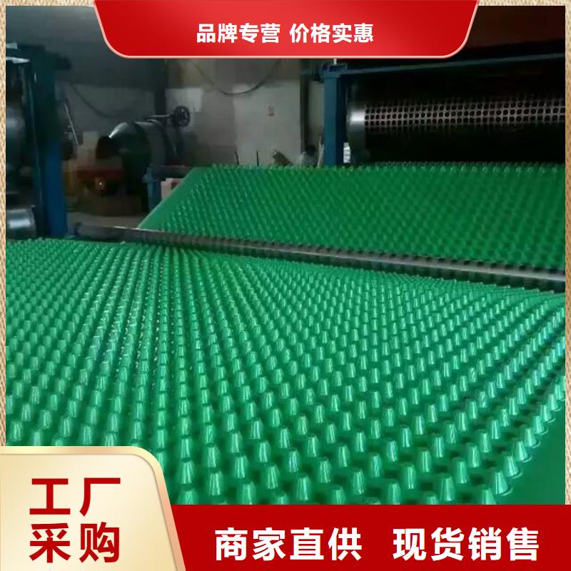 选择我们没错 【 塑料排水板排水板厂家现货供应】