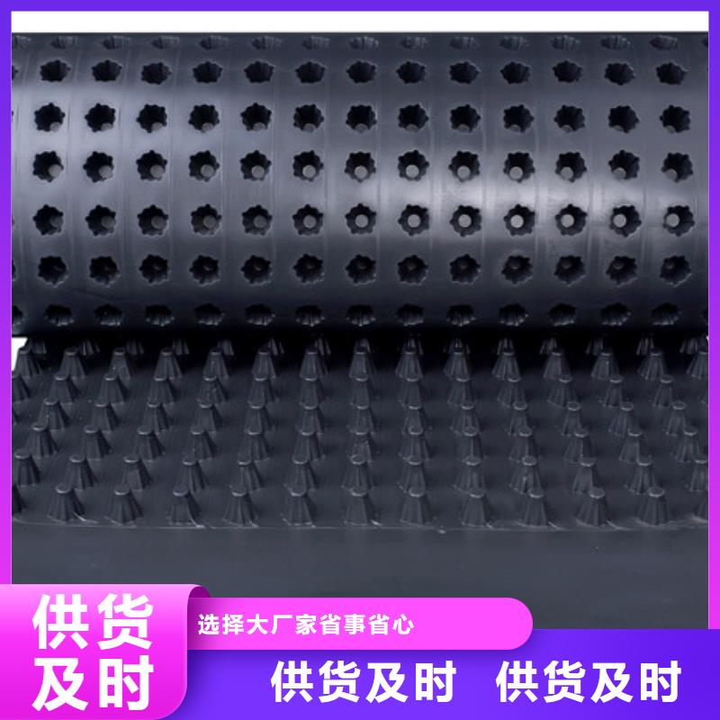 【 塑料排水板- 植草格品质商家】朋联