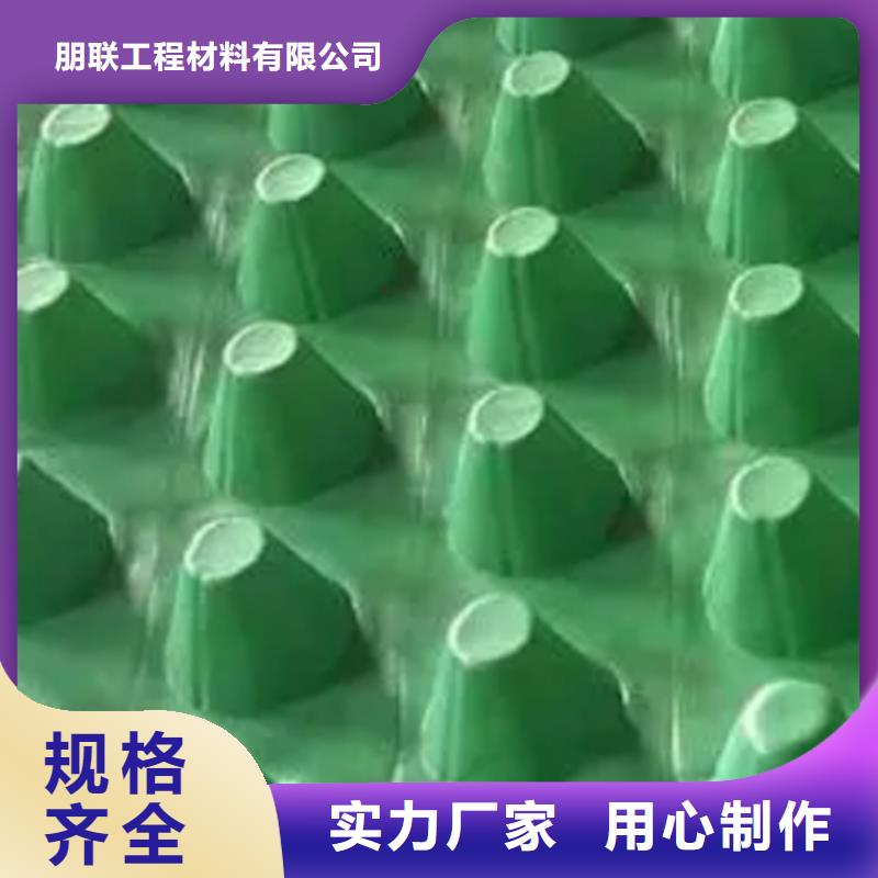 当地厂家值得信赖【 塑料排水板- 植草格品质商家】