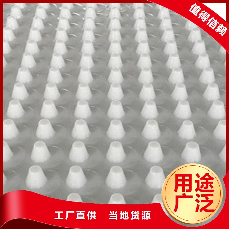 【 塑料排水板- 植草格品质商家】朋联