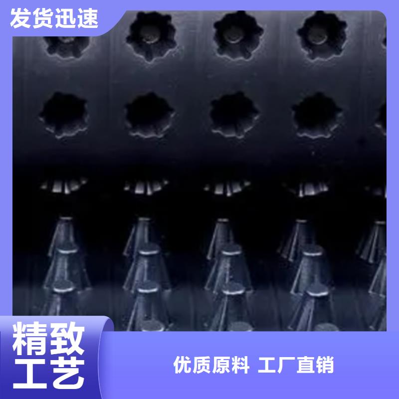 【 塑料排水板- 植草格品质商家】朋联