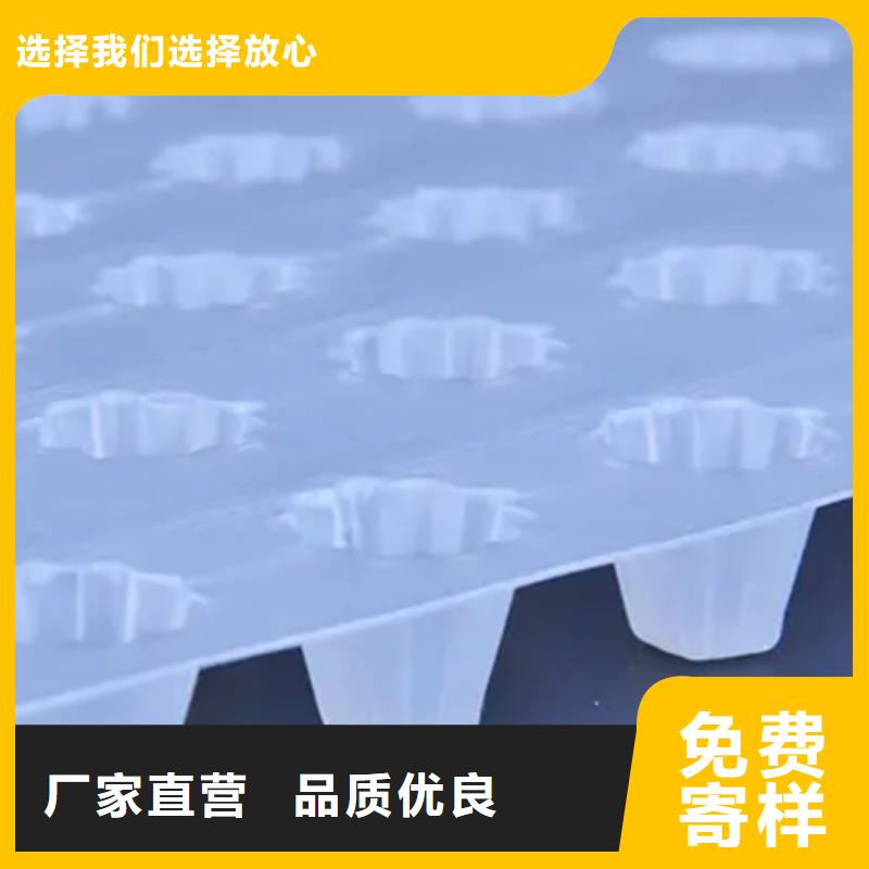 选择我们没错 【 塑料排水板排水板厂家现货供应】