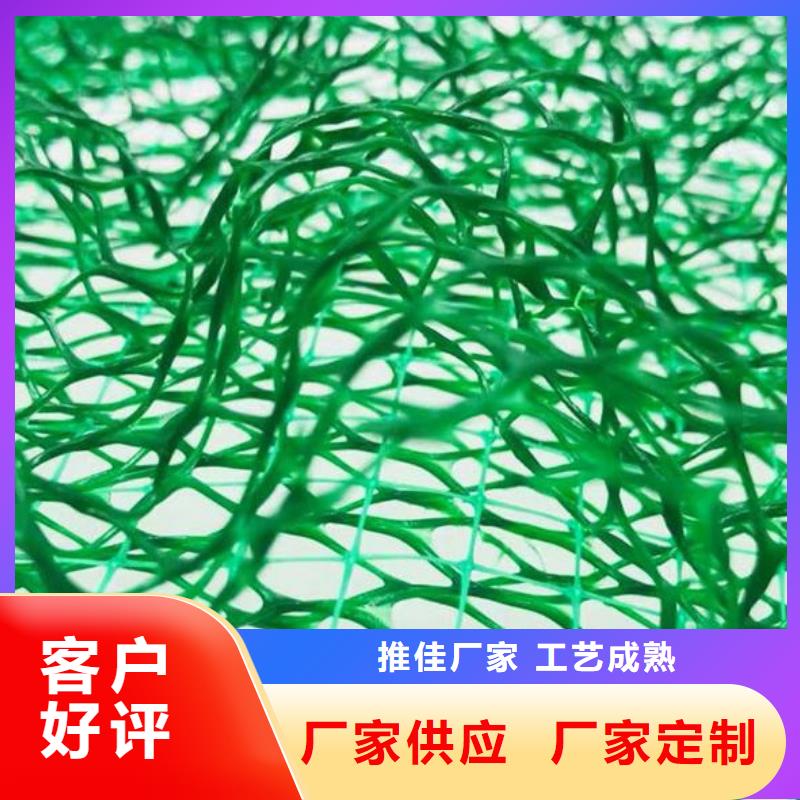 三维植被网水泥化粪池专注产品质量与服务