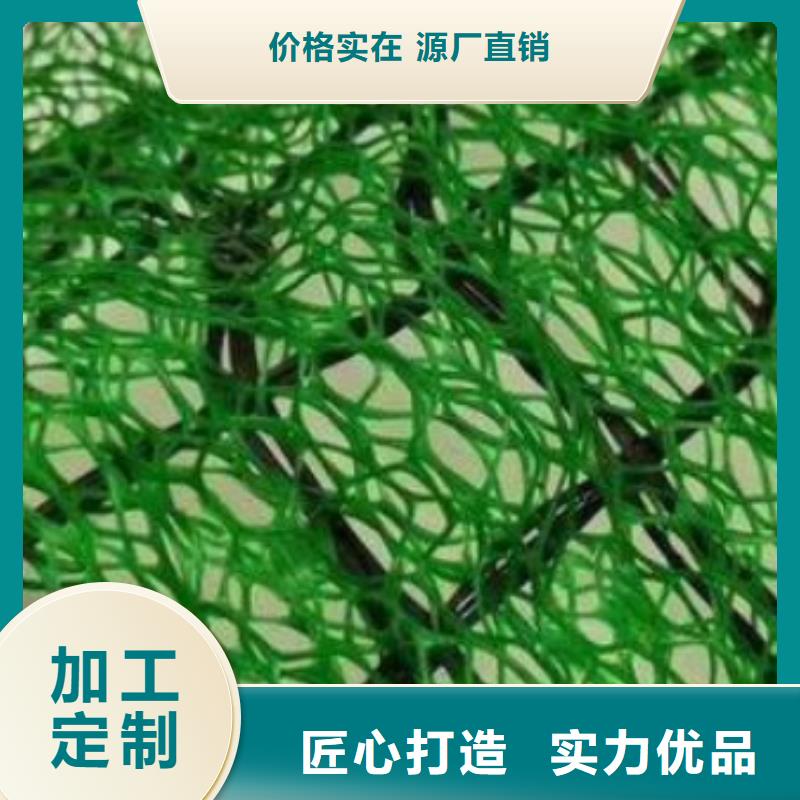 三维植被网车库虹吸排水系统品质不将就