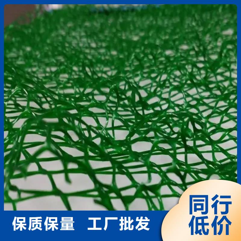 三维植被网水泥化粪池老品牌厂家