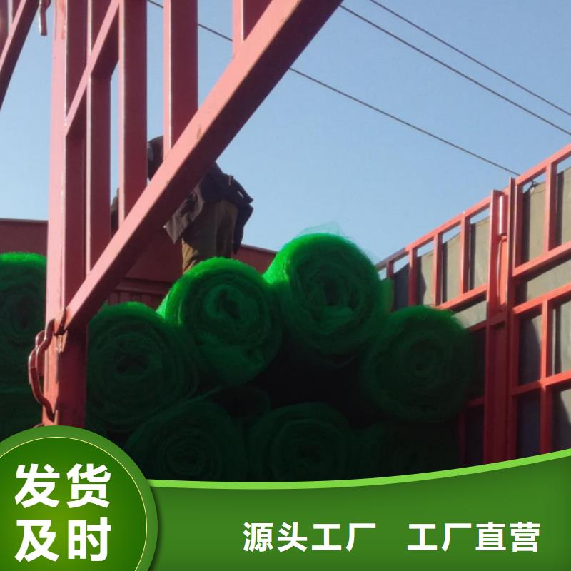 三维植被网水泥化粪池厂家直销规格多样