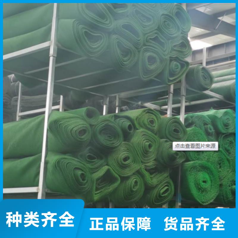 三维植被网-化粪池水泥N年大品牌