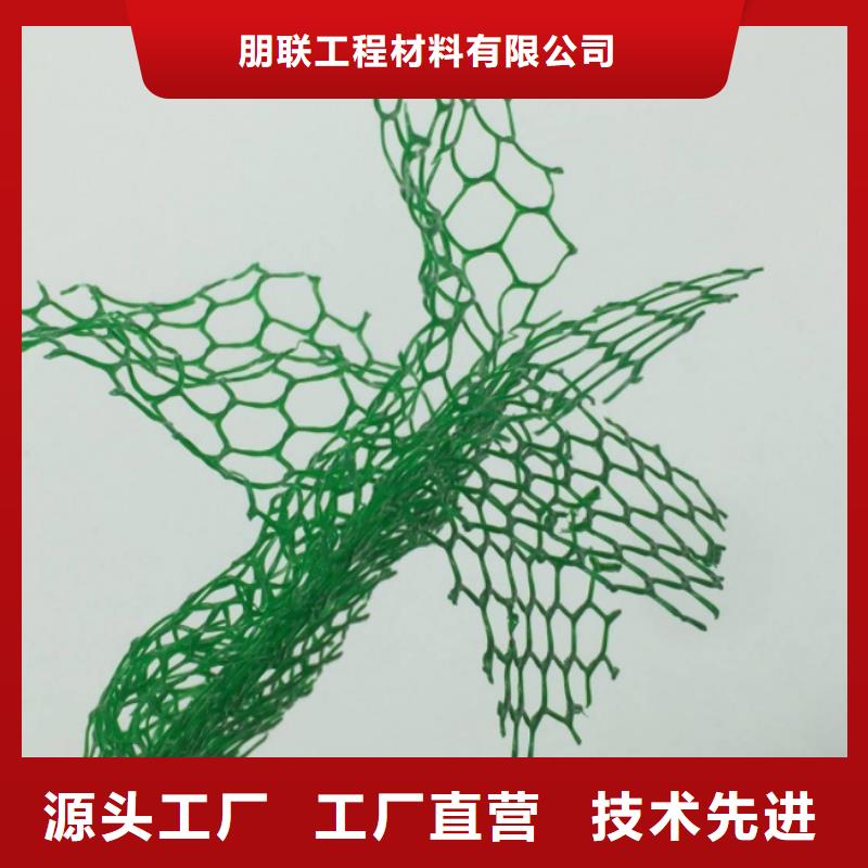 三维植被网_排水板价格公道合理
