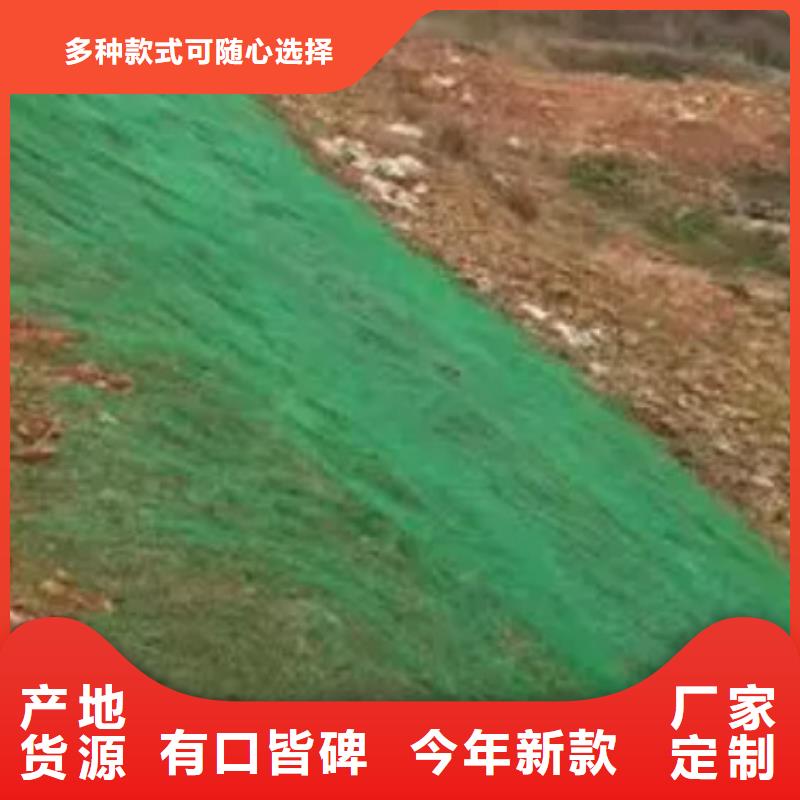 三维植被网_排水板价格公道合理