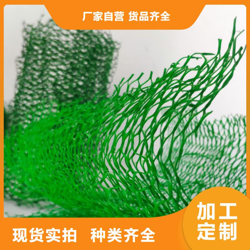 精挑细选好货【 三维植被网-防护虹吸排水收集系统实力商家供货稳定】