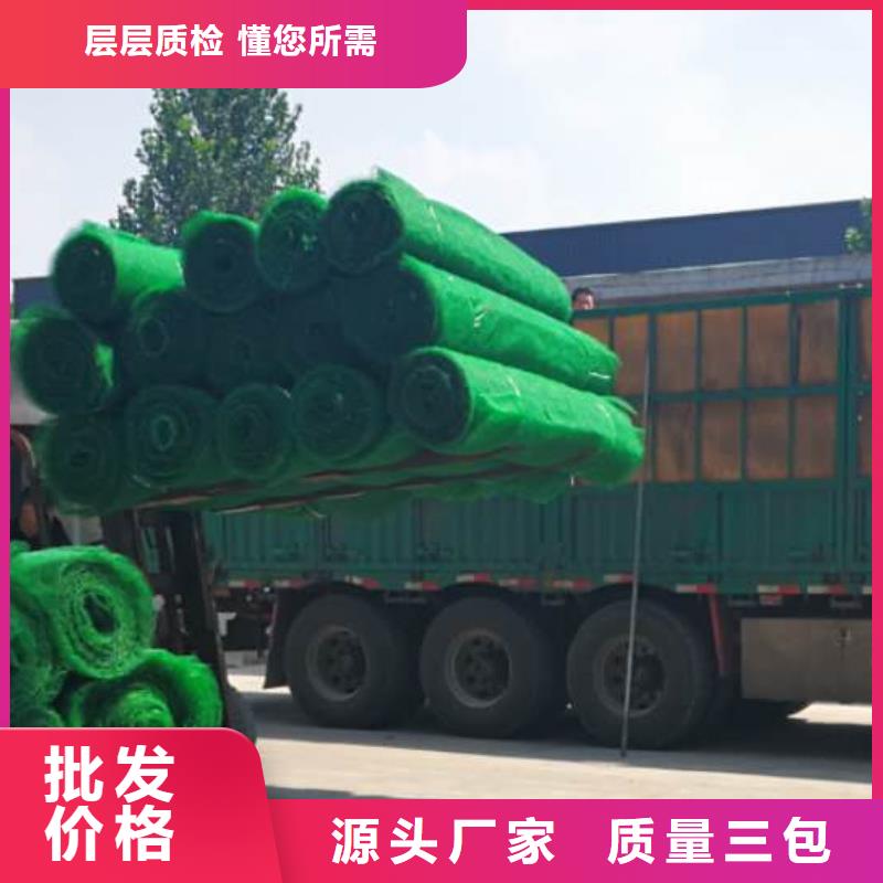 三维植被网_排水板多种工艺