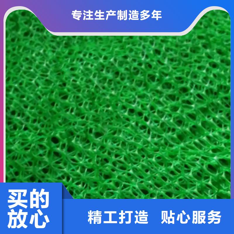 三维植被网植草格产品参数