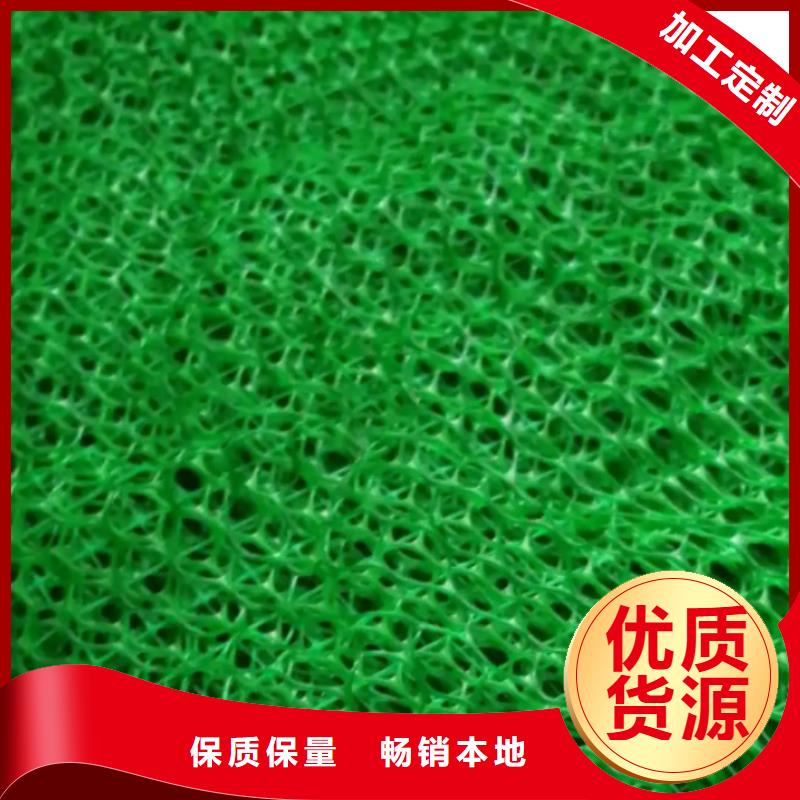三维植被网化粪池水泥N年生产经验