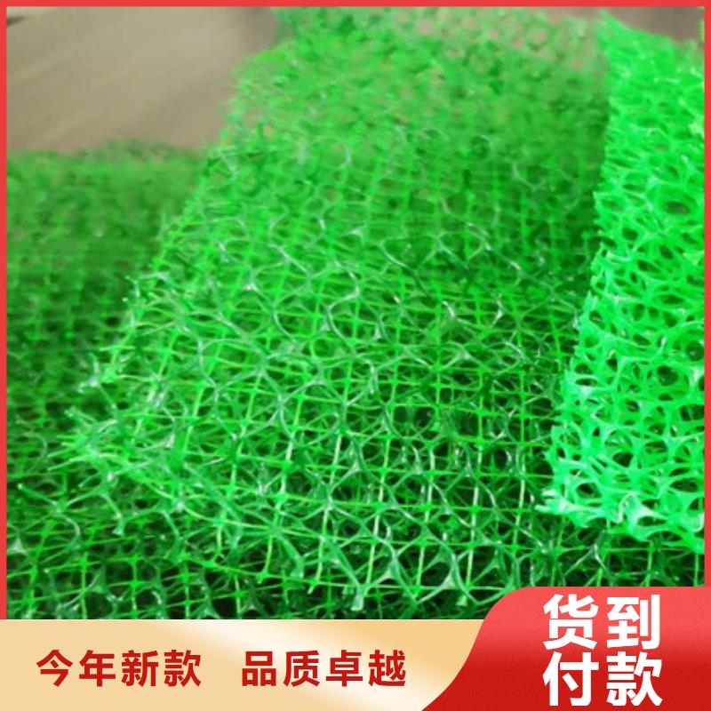 三维植被网_排水板多种工艺