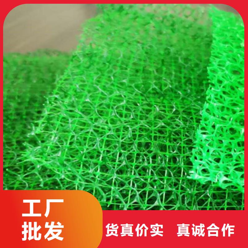 【三维植被网】_ 植草格本地配送-朋联工程材料(恩施市分公司)|覆盖地域鹤峰|咸丰|十堰|襄阳|黄石|孝感