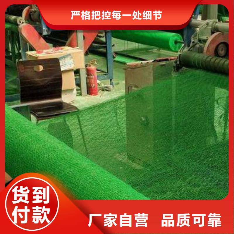 三维植被网防护虹吸排水收集系统技术先进