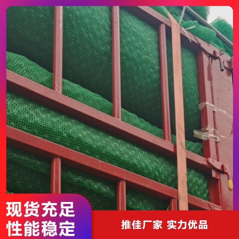 三维植被网_排水板价格公道合理