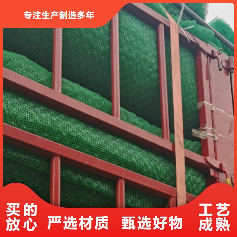 【三维植被网】_ 植草格本地配送-朋联工程材料(恩施市分公司)|覆盖地域鹤峰|咸丰|十堰|襄阳|黄石|孝感