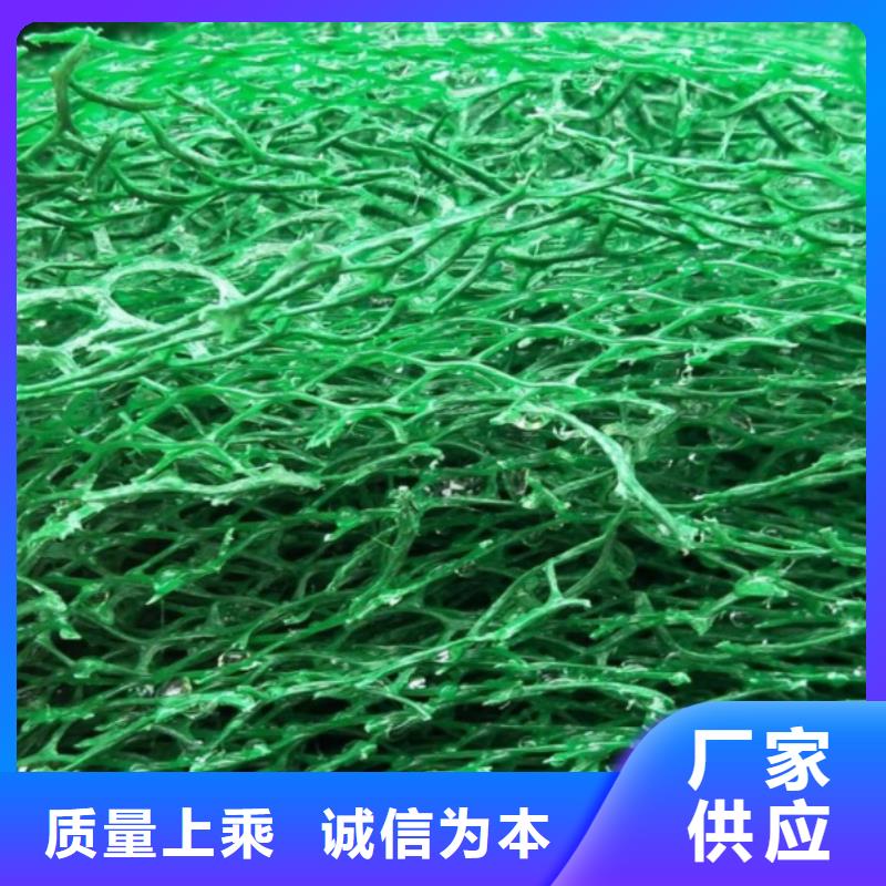 三维植被网防护虹吸排水收集系统源头采购
