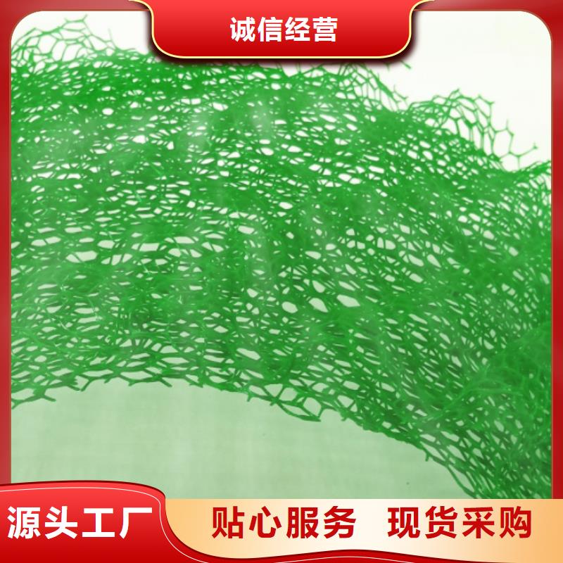 【 三维植被网-防护虹吸排水收集系统实力商家供货稳定】