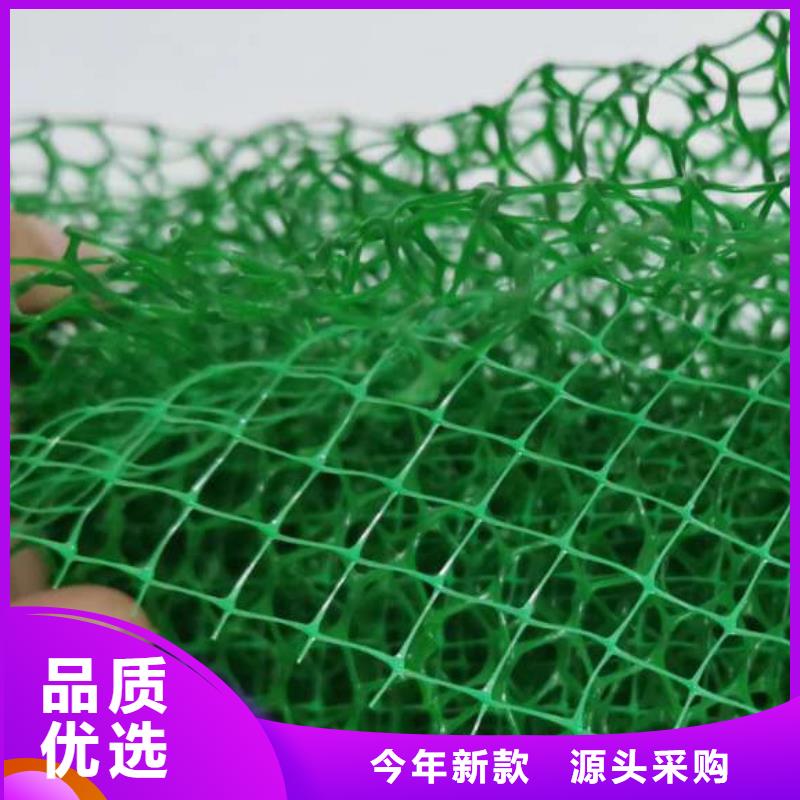 三维植被网排水板规格型号全
