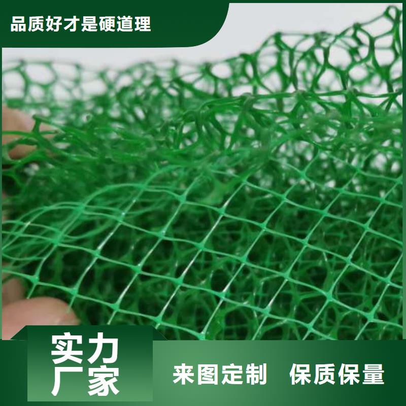 【三维植被网】_ 植草格本地配送同城供应商