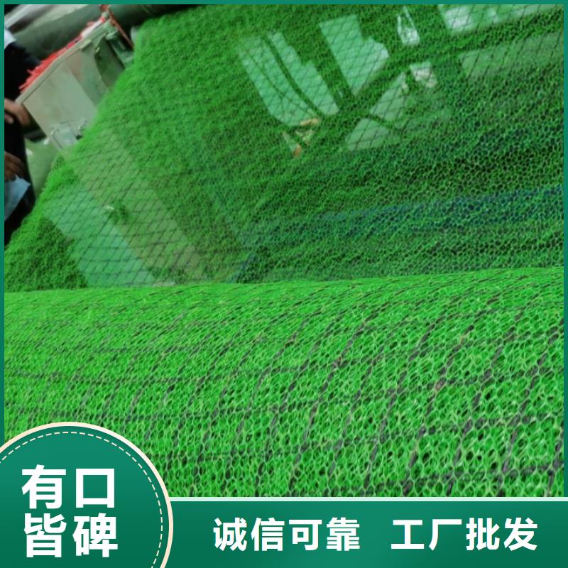【 三维植被网-防护虹吸排水收集系统实力商家供货稳定】