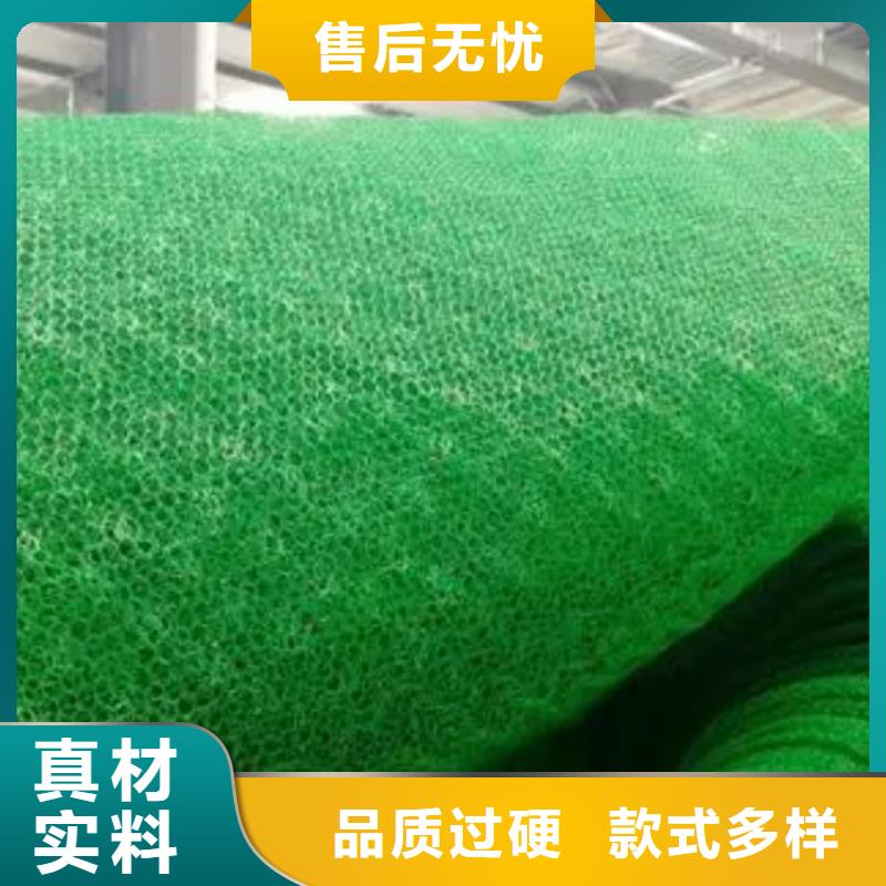 三维植被网植草格产品参数